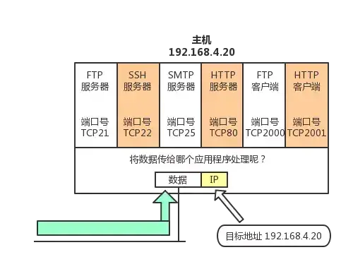 通过端口号识别应用